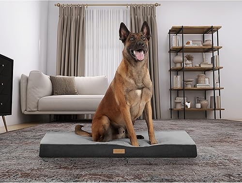 Miniatura 7 de TailZzz Colchón para mascotas, colchón grande a extra grande para perros y gatos, 2 en 1 con gel frío infundido con espuma de alta densidad calmante