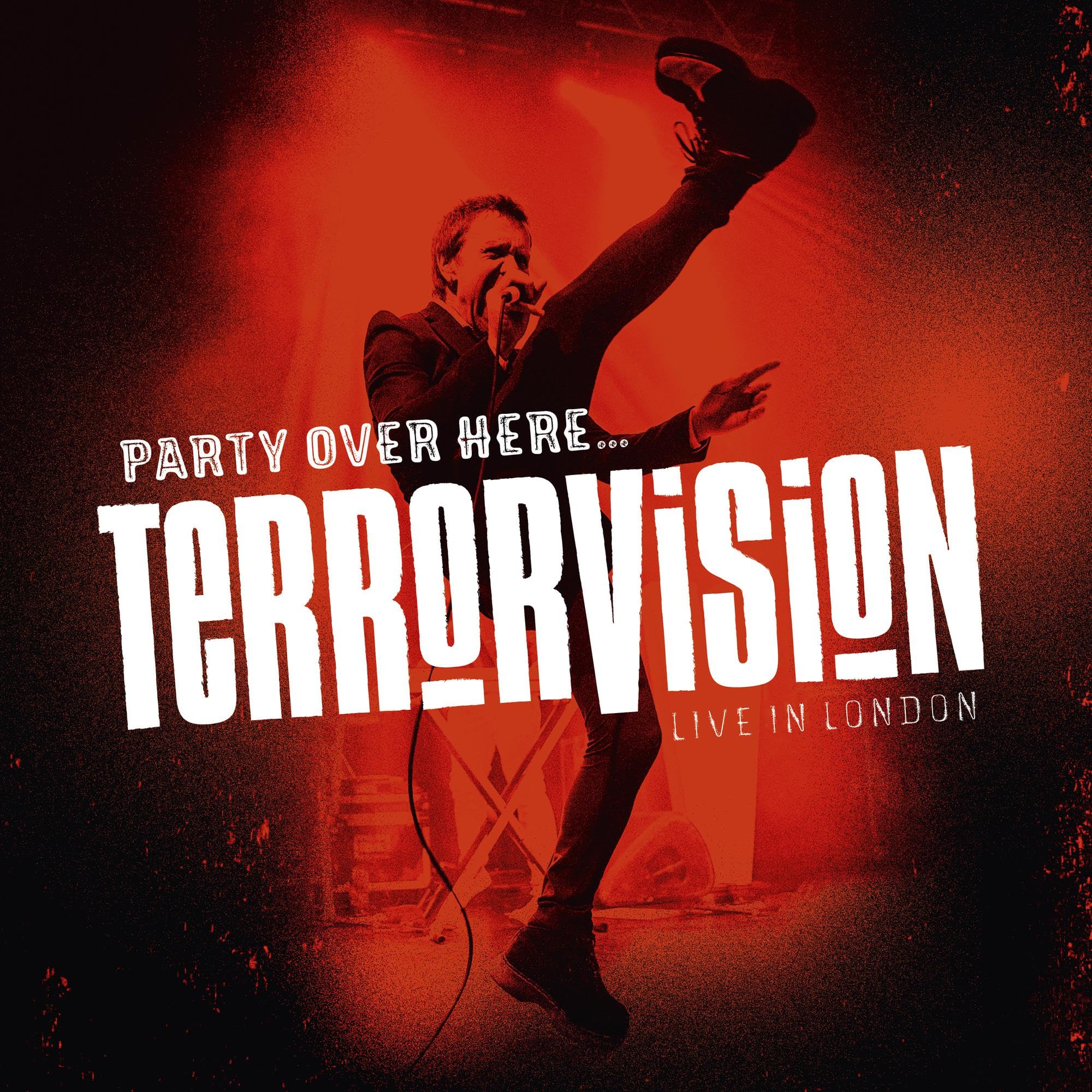 Party Over Here... [VINYL]