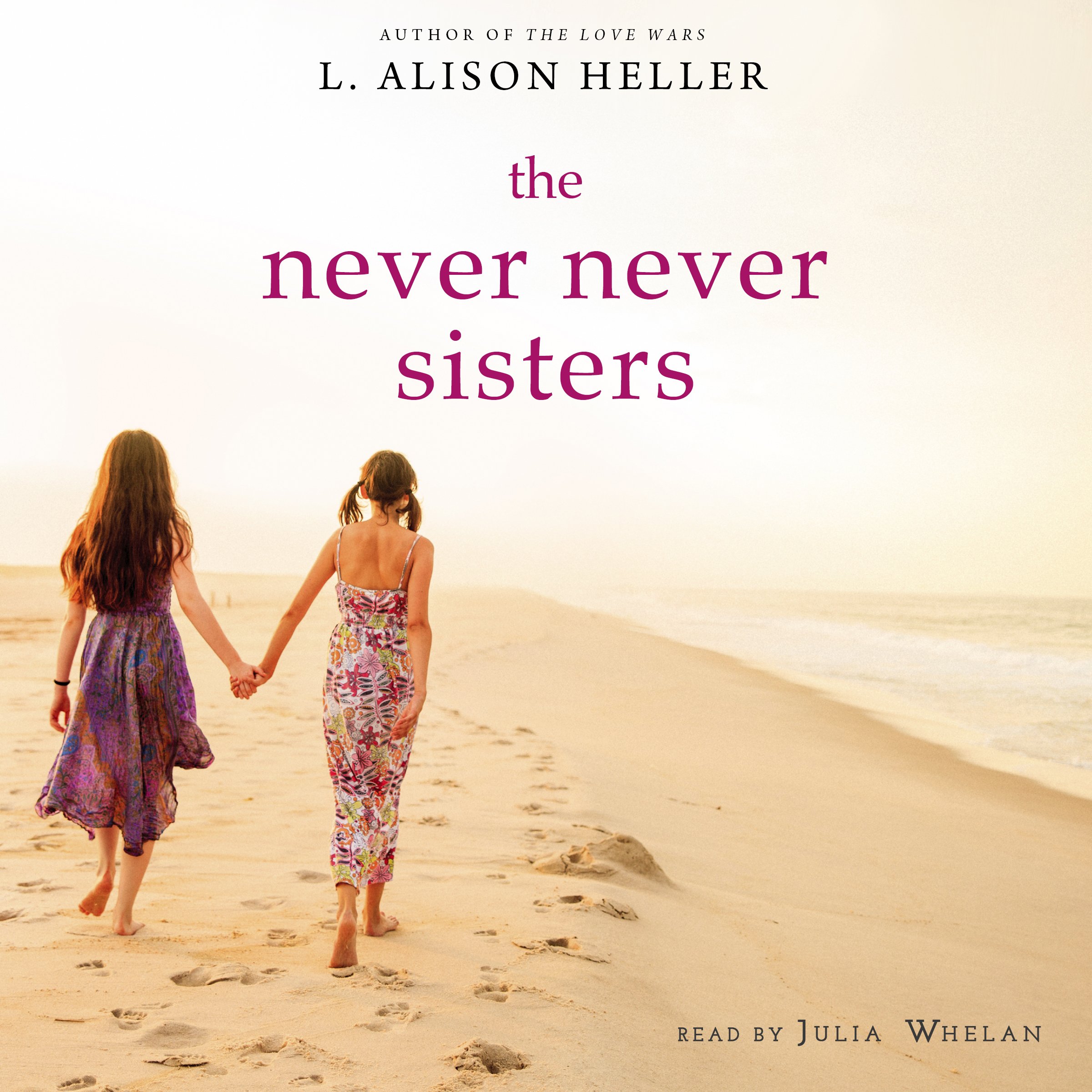 Cover art for The Never Never Sisters