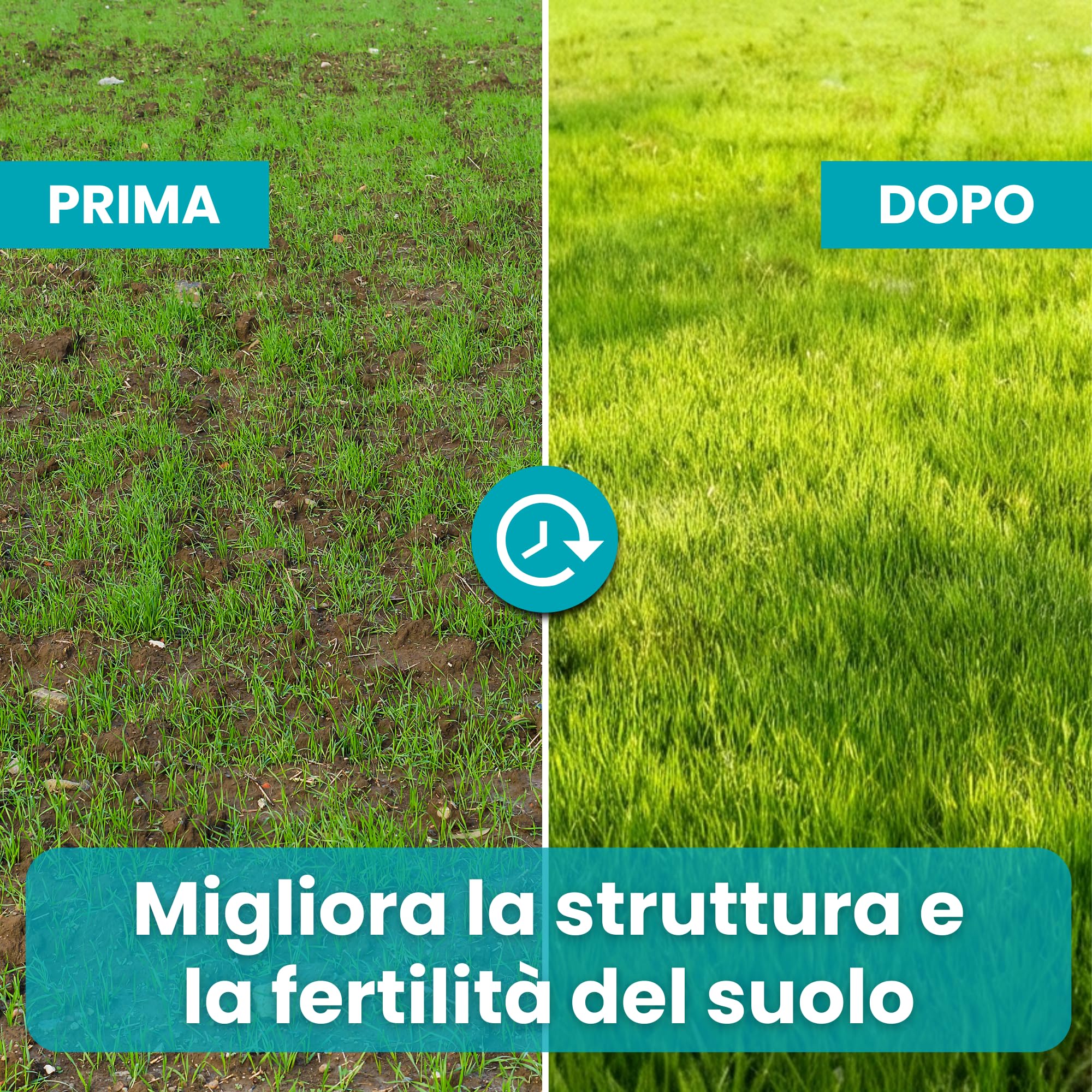 LERAVA Revive (18 kg) - Calce per prato per equilibrio pH ottimale - ammendante per migliorare struttura e fertilità del suolo - apporto naturale di calcio per un prato sano e resistente