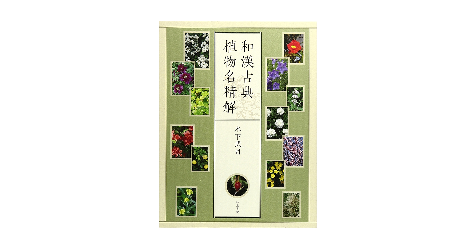 和漢古典植物名精解/和泉書院/木下武司（単行本） Amazon.co.jp: 和漢古典植物名精解 : 木下武司: 本