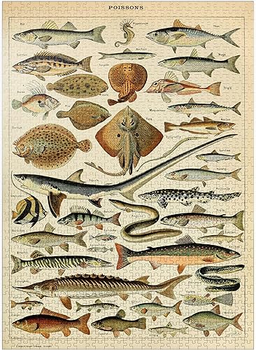MyPuzzle Fish for All, póster de arte vintage, Adolphe Millot - Rompecabezas prémium de 1000 piezas para adultos