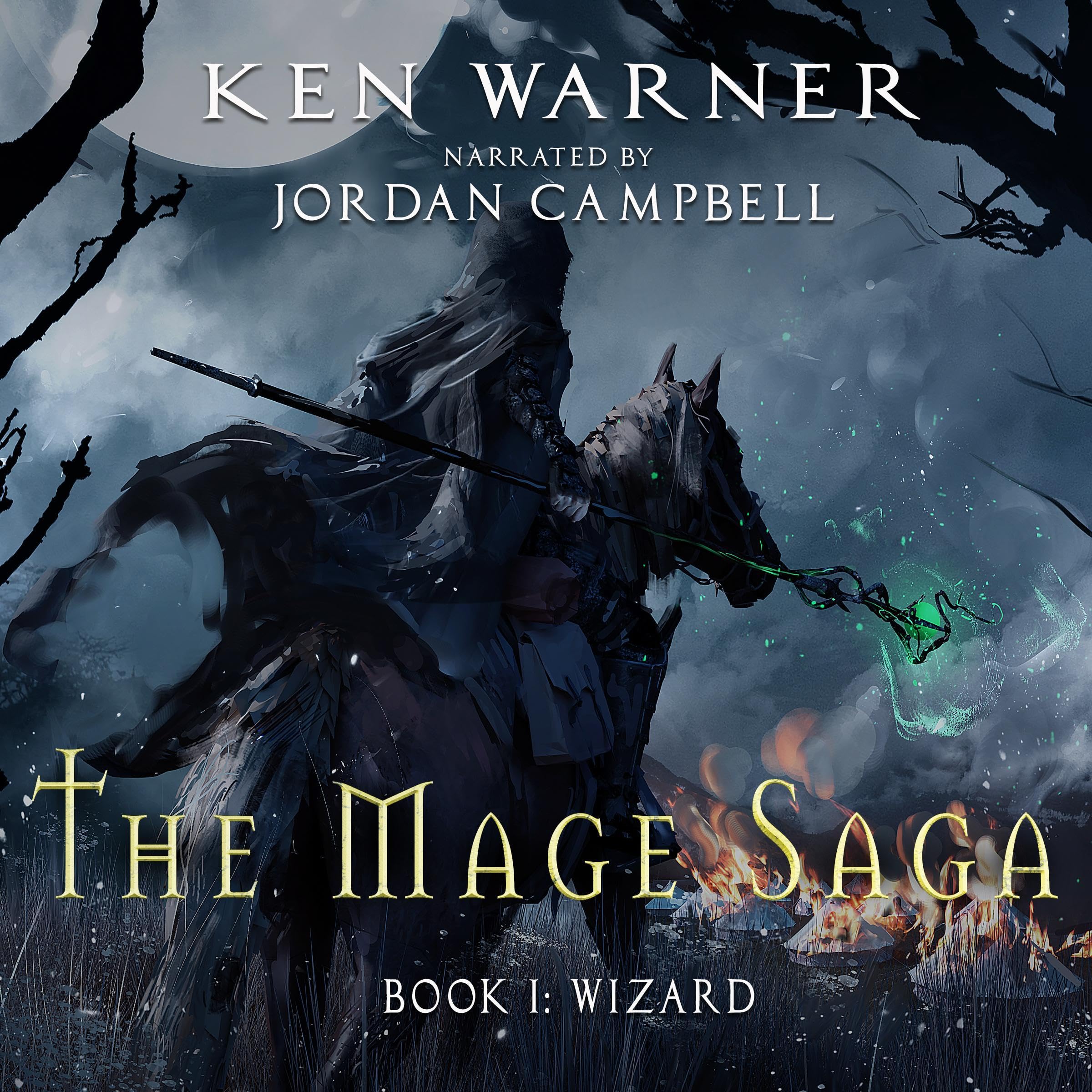 Cover art for Wizard: The Mage Saga, Book 1