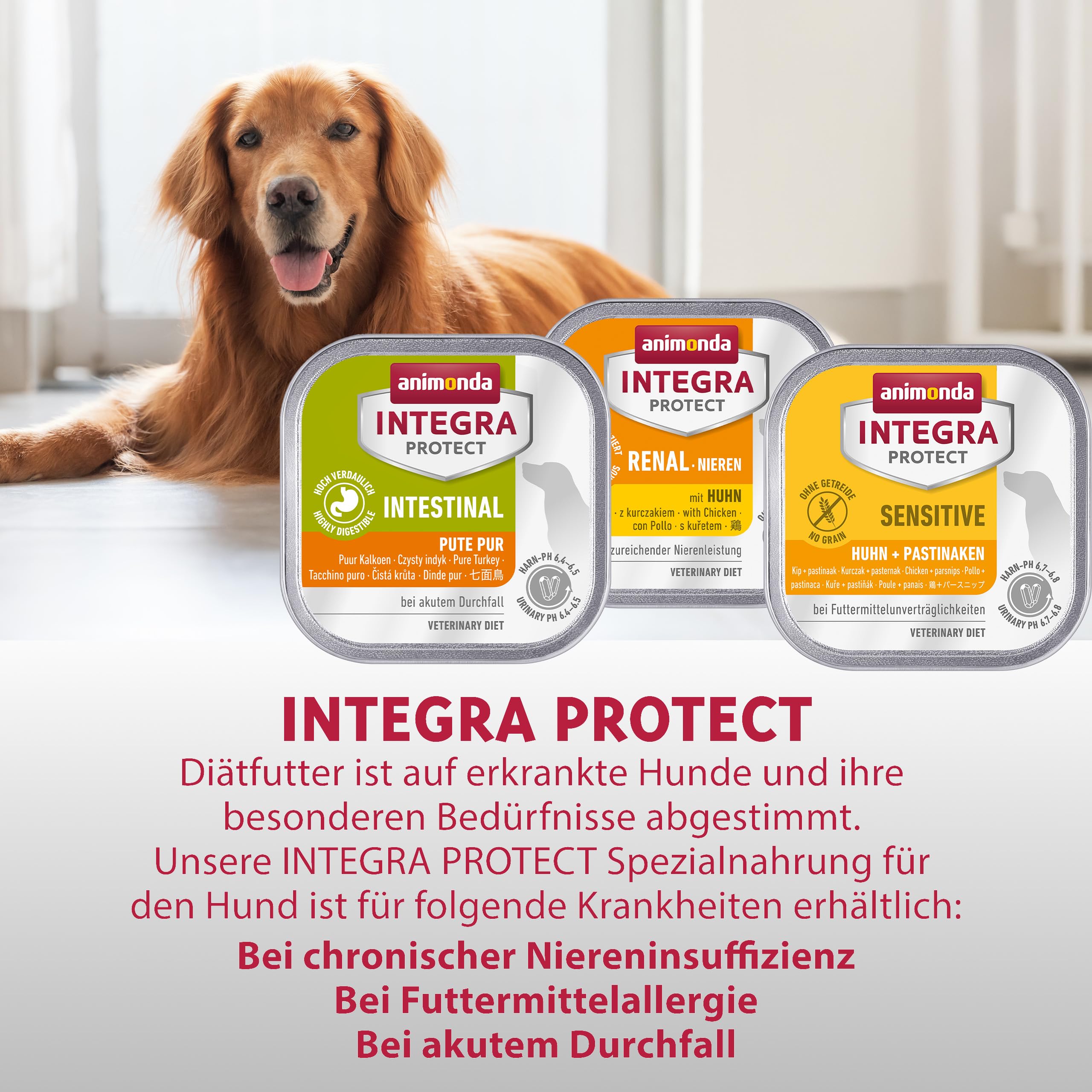 animonda INTEGRA PROTECT Sensitive Huhn + Pastinaken (11 x 150 g),  Ditfutter bei Futtermittelallergie, sensitives Hundefutter fr allergische  Hunde, Nassfutter fr Hunde ohne Getreide : Amazon.de: Haustier