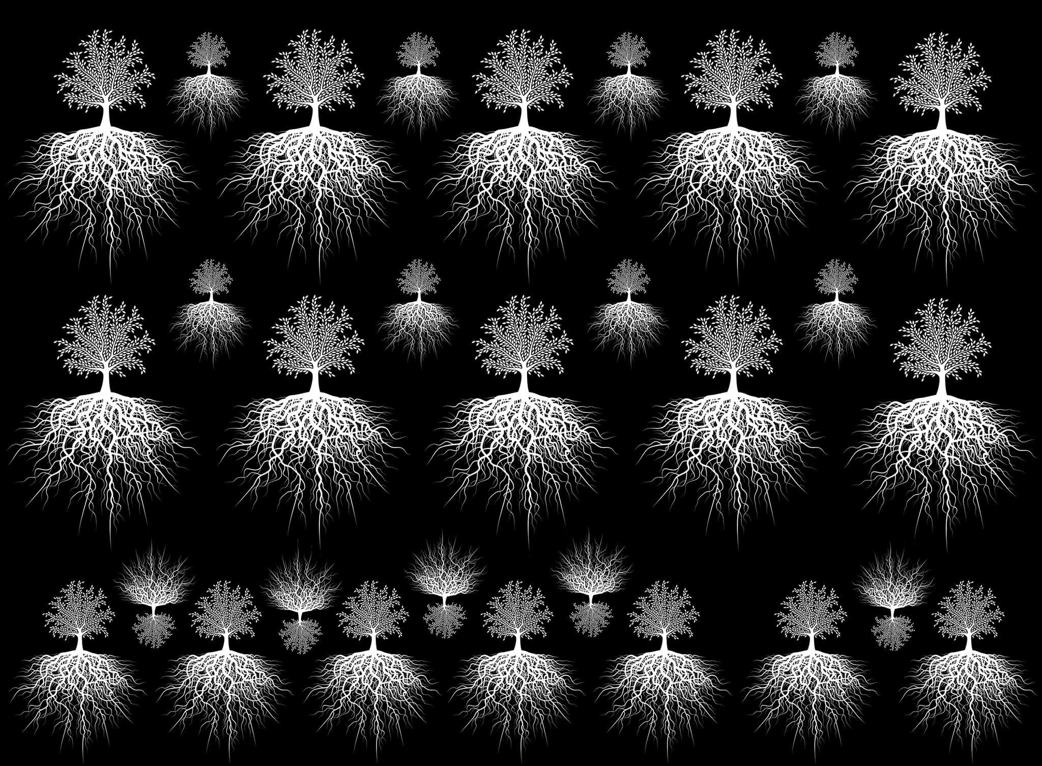 Rooted Tree of Life 30 pcs 1 Inch White Fused Glass Decals