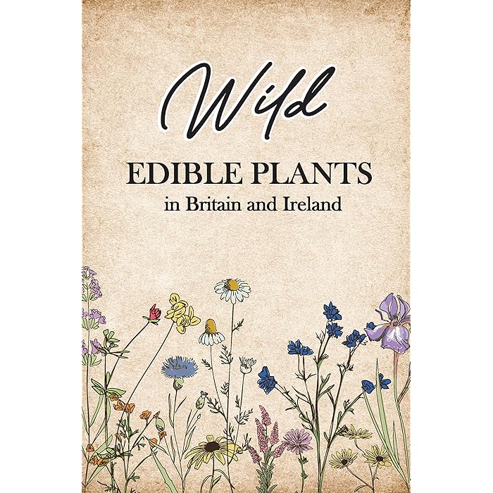 Buy Wild Edible Plants in Britain and Ireland The Ultimate Forager’s