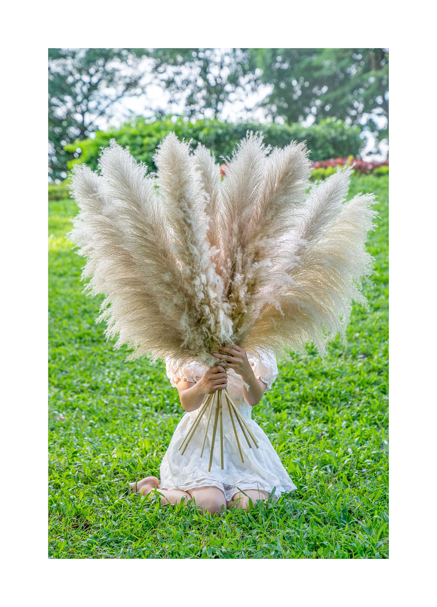 Pamwee 43?Ç¥ inch 10 Stems Natural Dried Pampas Grass Decor Tall, Large and Fluffy, Pampas Grass Bulk for Farmhouse, Boho Home Decor, Wedding Floral Arrangements and Event Decor