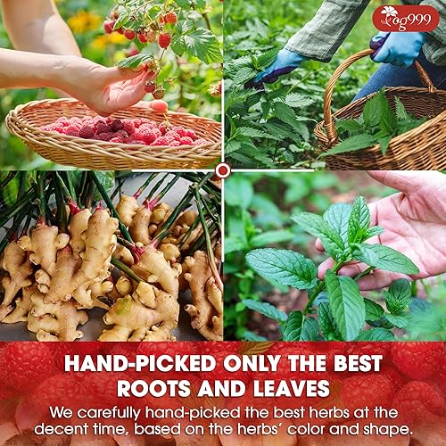 Miniatura 6 de TOG999 Bolsitas de Té de Hojas de Frambuesa Roja con Sabor a Menta Verde para Equilibrio Hormonal Apoyo Natural del Ciclo Menstrual, 40 Unidades,