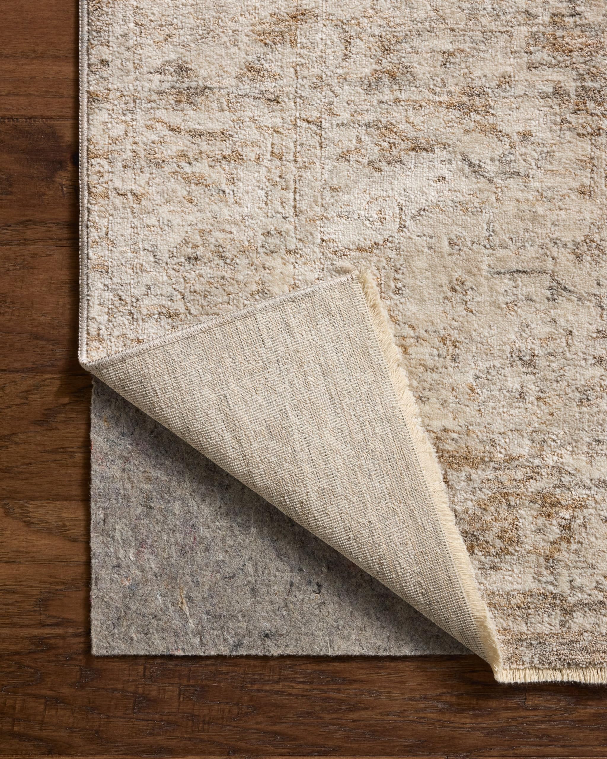 Amazon.com: Loloi Clarisse Collection CLS-02 Smoke/Natural 2'-6