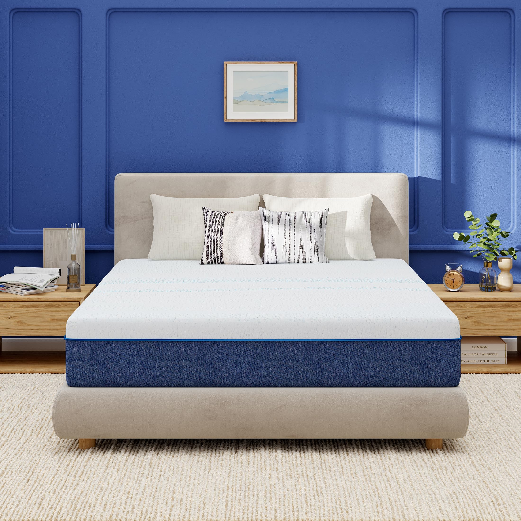 EGOHOME 10 Inch Twin Mattress Gel Memory Foam