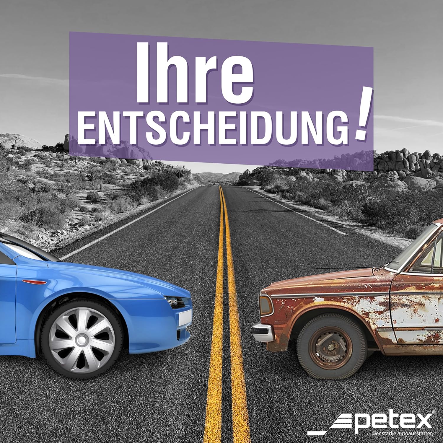 Petex RB552216 Wheel Trim, 16