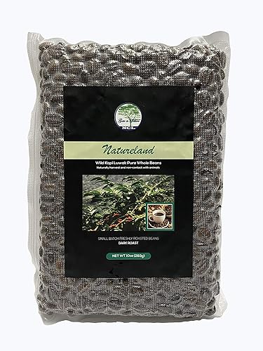 NATURELAND - Granos de café tostados especiales (Wild Kopi Luwak Coffee Beans Dark Roast, 10 oz) Civet Coffee Kopi Luwak Coffee Beans - Wild Civet