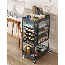Rolling Utility Art Cart with Paint Storage & Brush Organizer,Black