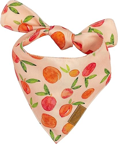 Miniatura 3 de Remy+Roo Bandanas para perros, paquete de 4 unidades, juego de kathrine, tela de poliéster duradera de alta calidad, forma única personalizada,