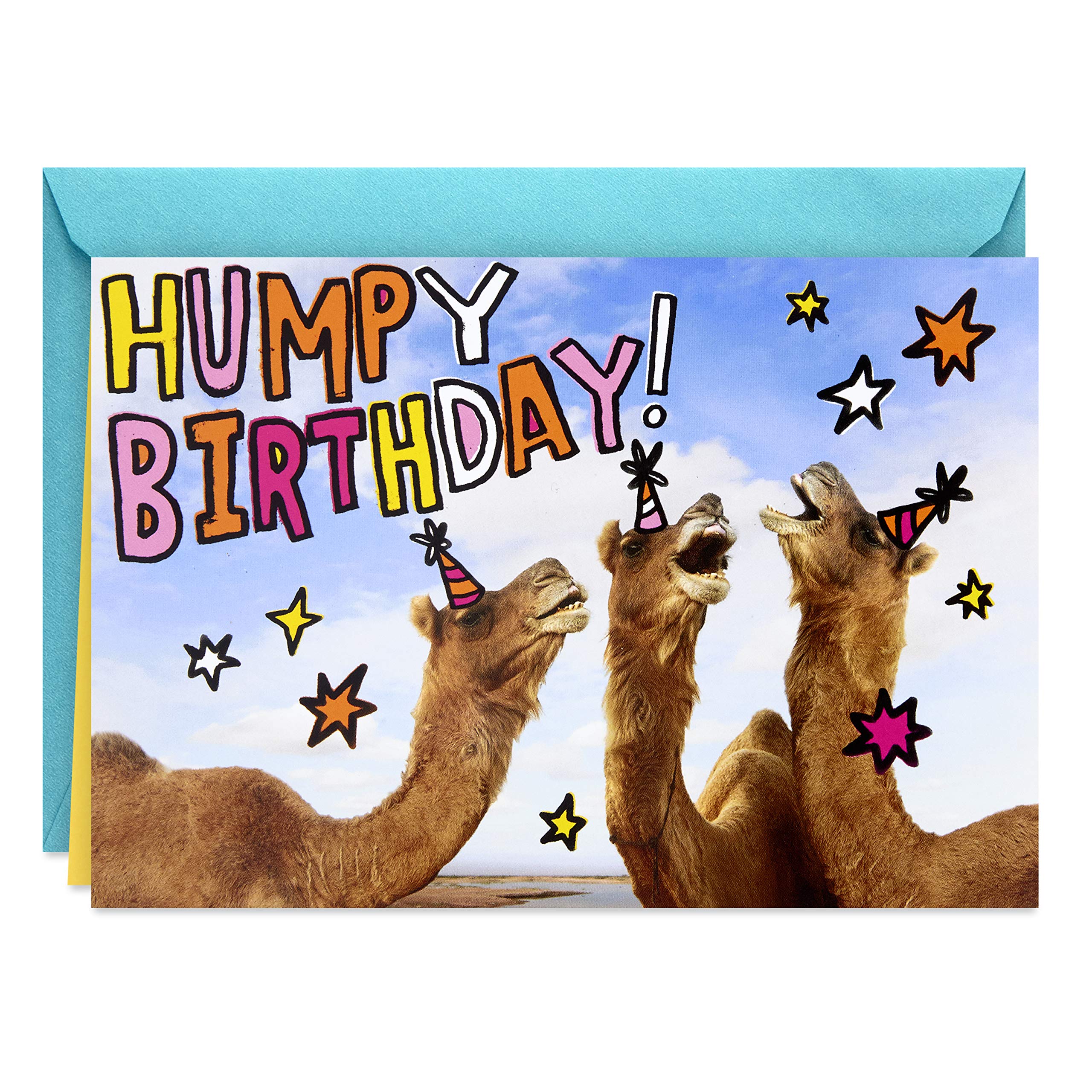 Buy Hallmark Shoebox Funny Birthday Card (Humpy Birthday Camels) Online