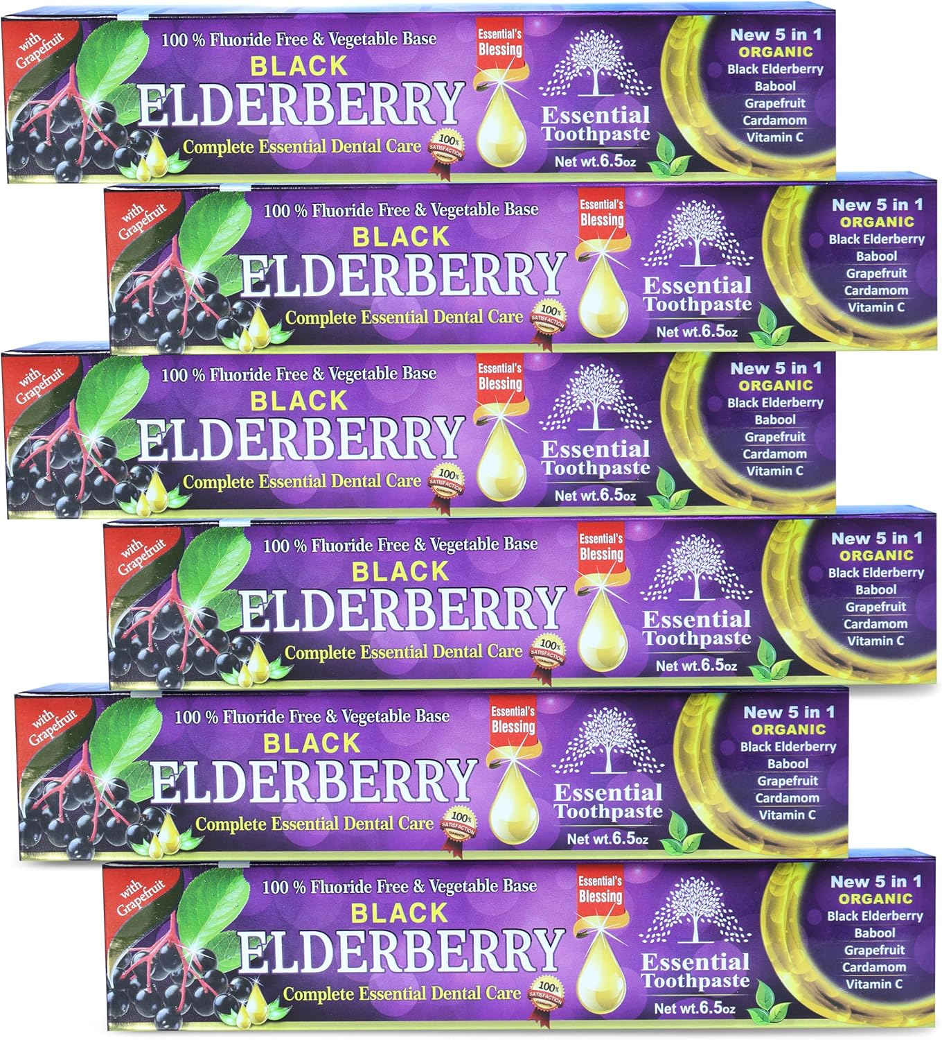 Black Elderberry Essential Toothpaste - 6.5 oz Pack of 6 | A Unique Blend of Black Elderberry, Babool, Grapefruit, Cardamom, Vitamin C