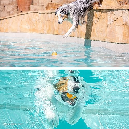 Miniatura 3 de Hyper Pet Mini pelotas de tenis para perros, juguetes seguros para mascotas para ejercicio y entrenamiento, paquete de 4, naranja (0082OREA), pequeño