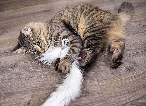 Miniatura 6 de SmartyKat Chitter Critter Squirrel - Juguete electrónico de felpa para gatos, funciona con pilas, color gris, talla única