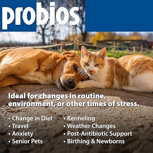 Miniatura 6 de Probios Masticables suaves para perros pequeños, 120 gm120 unidades