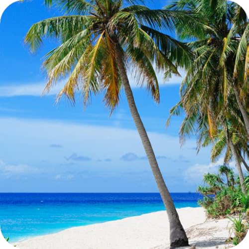 Fond d'écran de plage