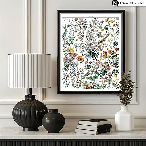 Miniatura 22 de Poster Master Póster vintage de orquídea, estampado de flores retro, arte de pared de plantas exóticas, arte botánico, regalo para hombres y