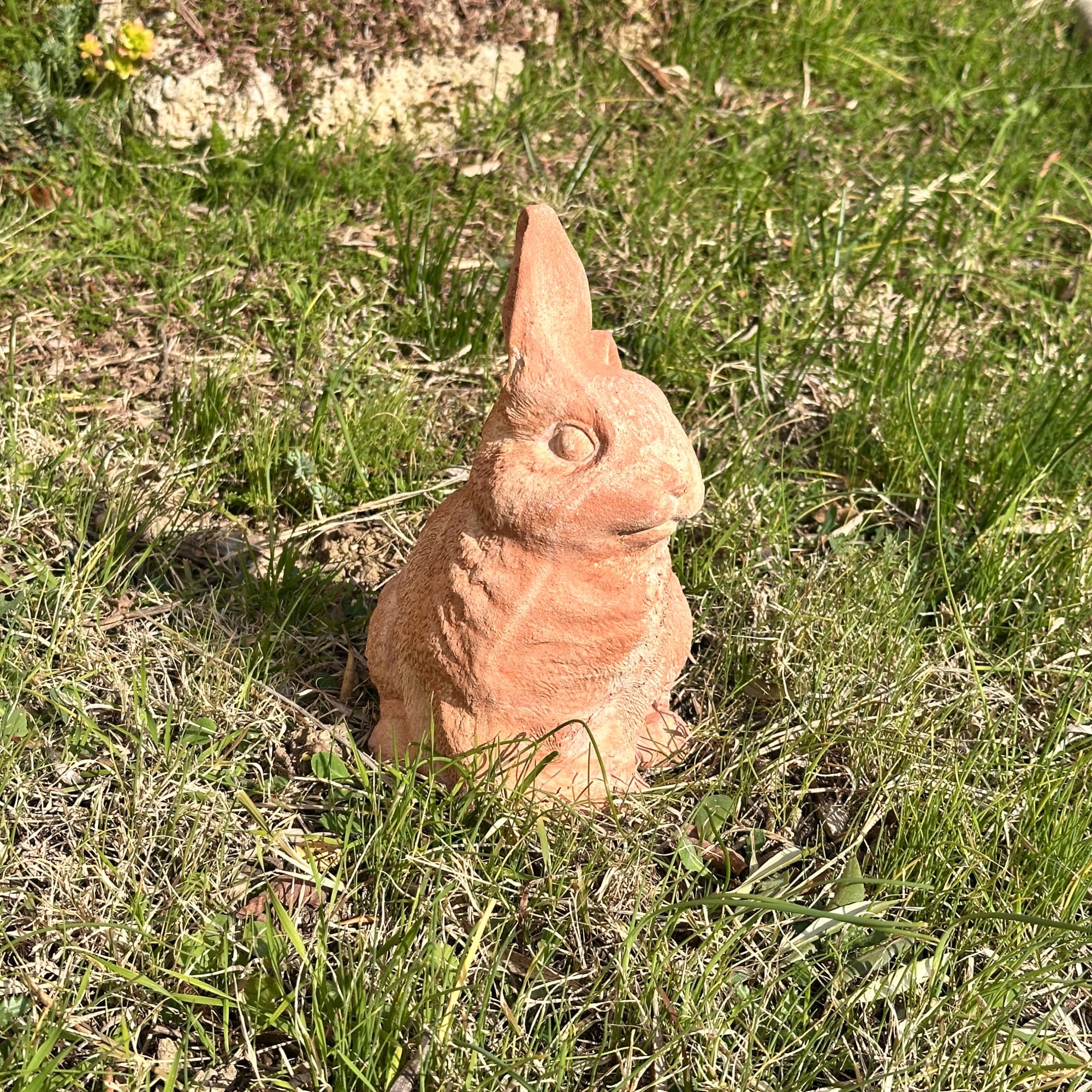 Toocook Animali in terracotta artigianale - Arredo giardino - Decorazione casa - Resistente alle intemperie (Coniglio)