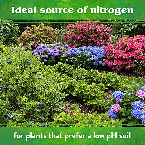 Miniatura 3 de Down to Earth - Fertilizante natural de semillas de algodón 6-2-1, 20 libras