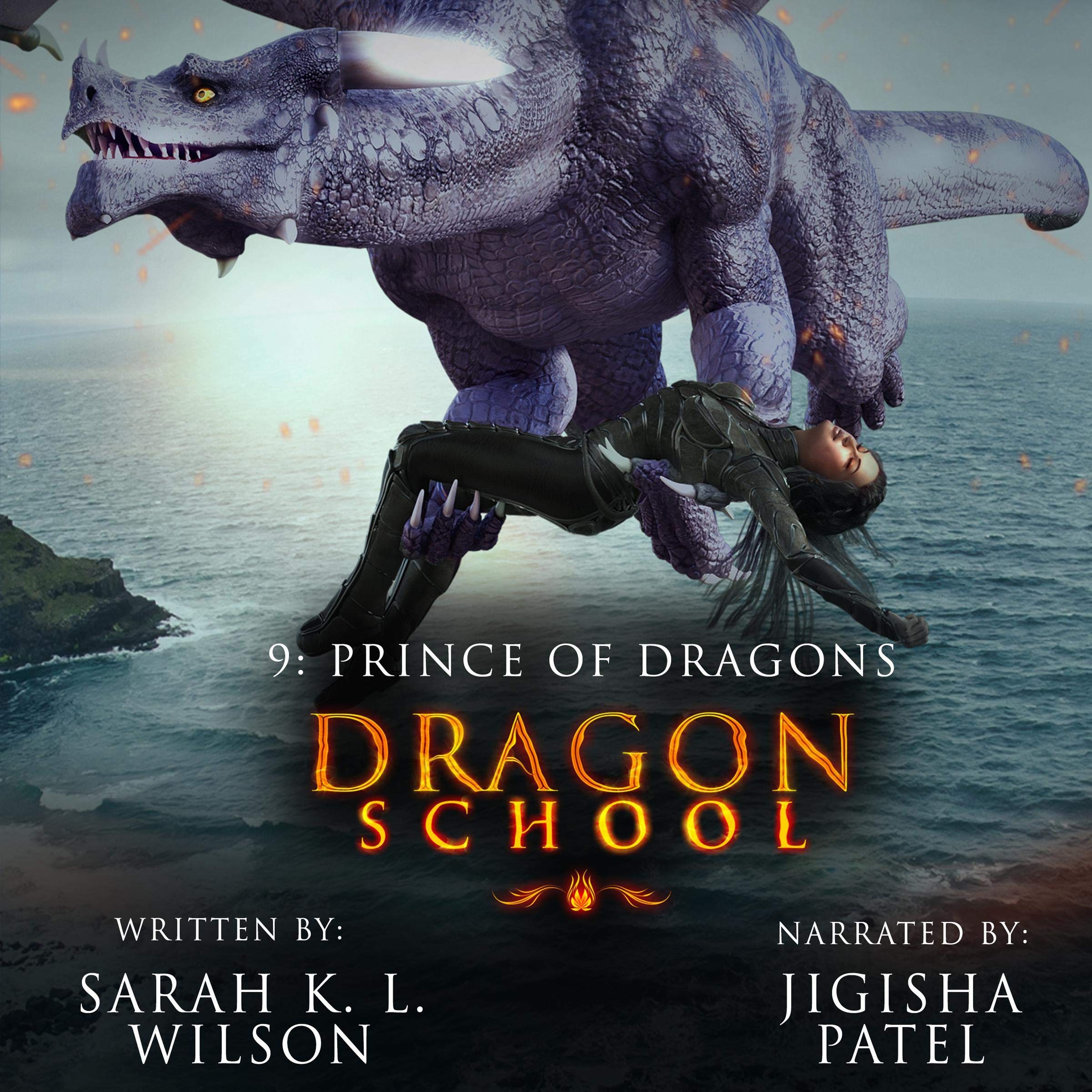 Cover art for Dragon School: Dark Night