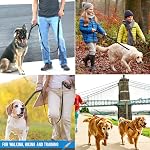 Laisse pour chien robuste - 2 poignées avec poignée de circulation rembourrée pour un contrôle supplémentaire, 6 pieds de long - Parfaite pour les chiens moyens à grands (6 pi, Noir)