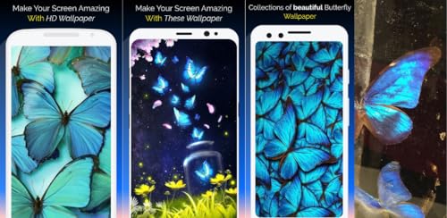 Blue Butterfly Wallpaper