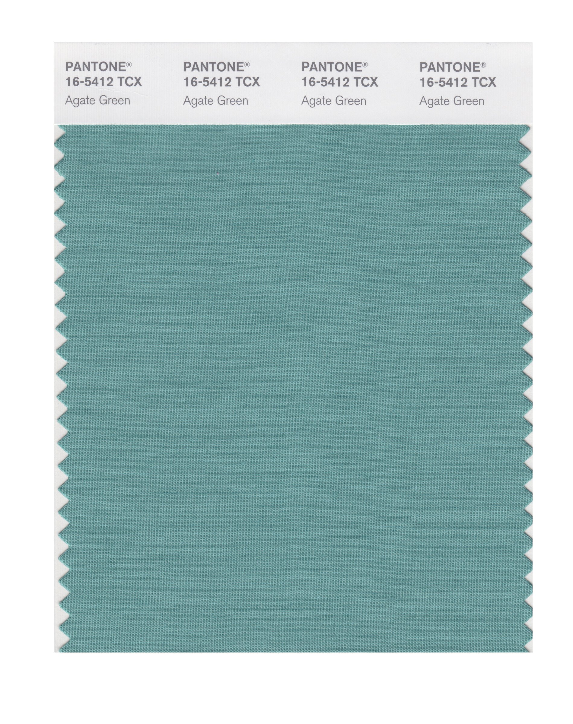 PANTONE Smart 16-5412X Color Swatch Card, Agate Green