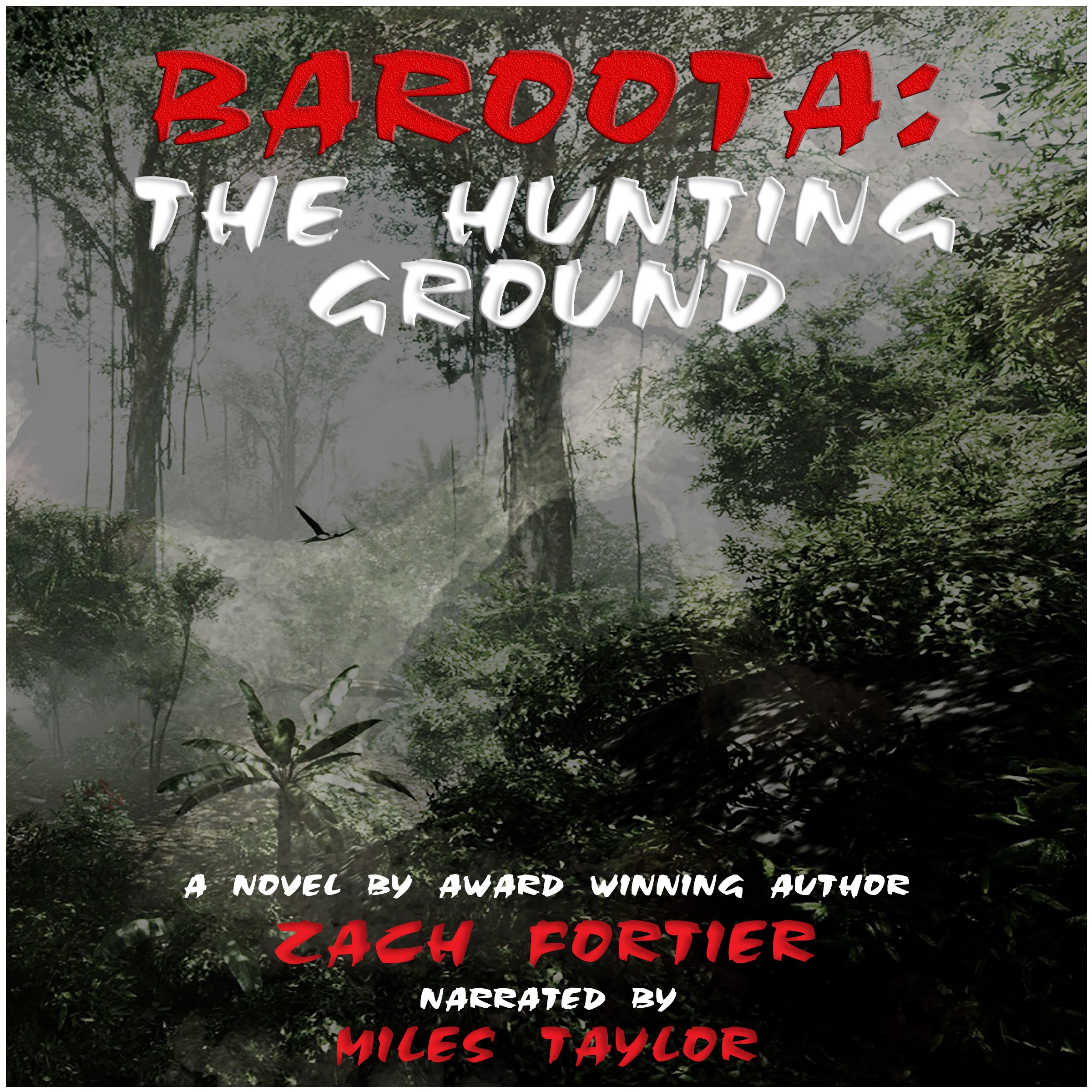 Cover art for Baroota
