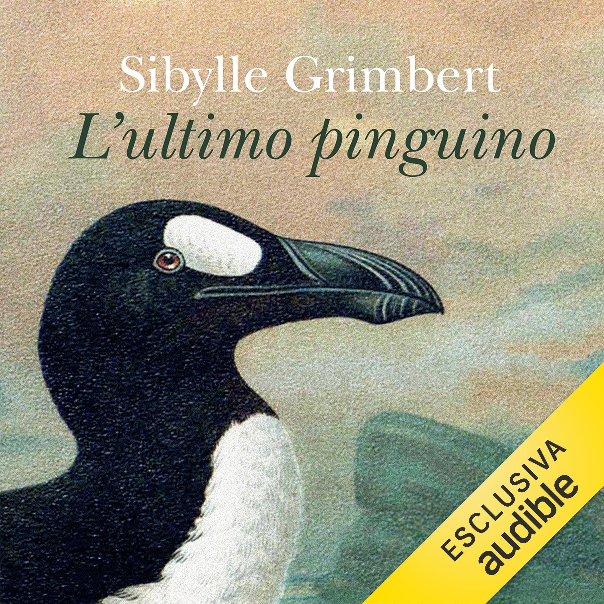 L'ultimo pinguino