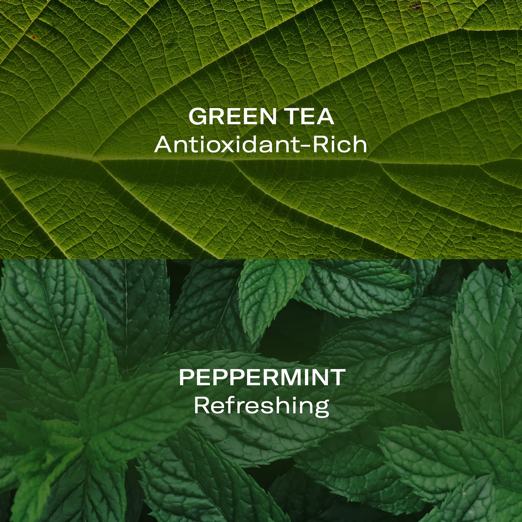 Odacite Mint & Green Tea Hydra-Purifying Trattamento Mist 50 ml