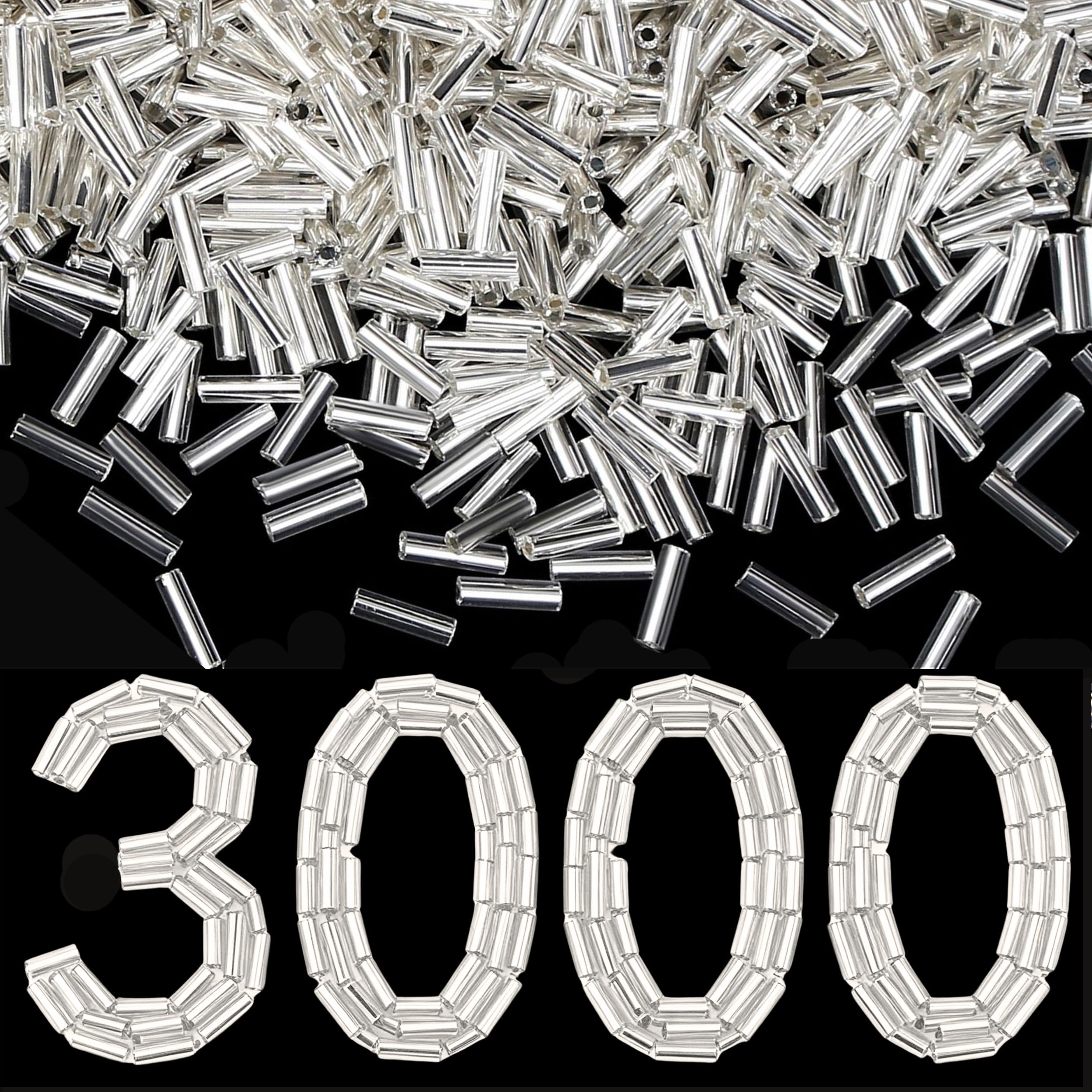 Sahoottie 3000 Pcs Silver Bugle Beads,Glass Silver Tube Beads 2x6mm Long Bead for Embroidery Jewelry Making DIY Craft,Sewing Bead with 2 Needles