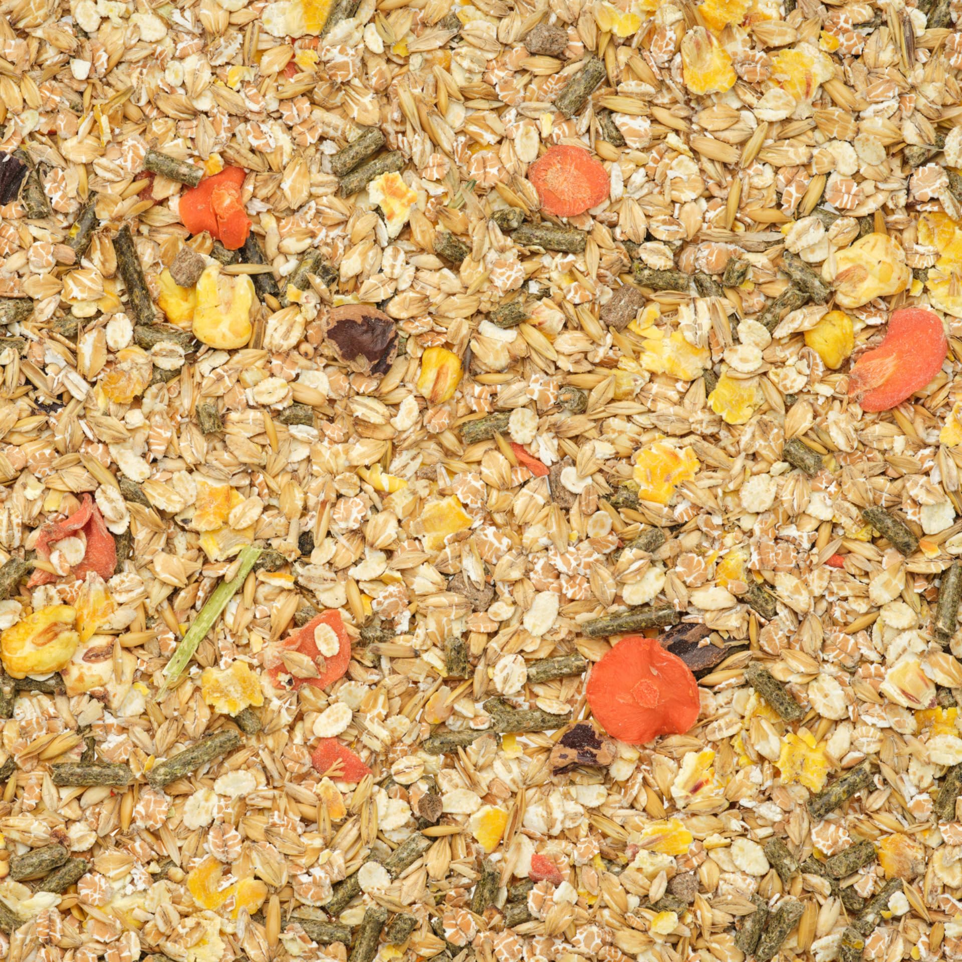 Leimüller Mangime per Alpaca Muesli 20 kg - Mangime di qualità austriaca privo di OGM - Mangime per alpaca, lama, cammelli e camelidi del Nuovo Mondo Colla ueller