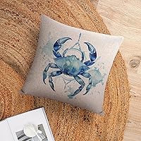 Vista 27 de Funda de cojín de pulpo costero para exteriores, decoración moderna de 18 x 18 pulgadas, decoración náutica costera de playa, casa, vida marina