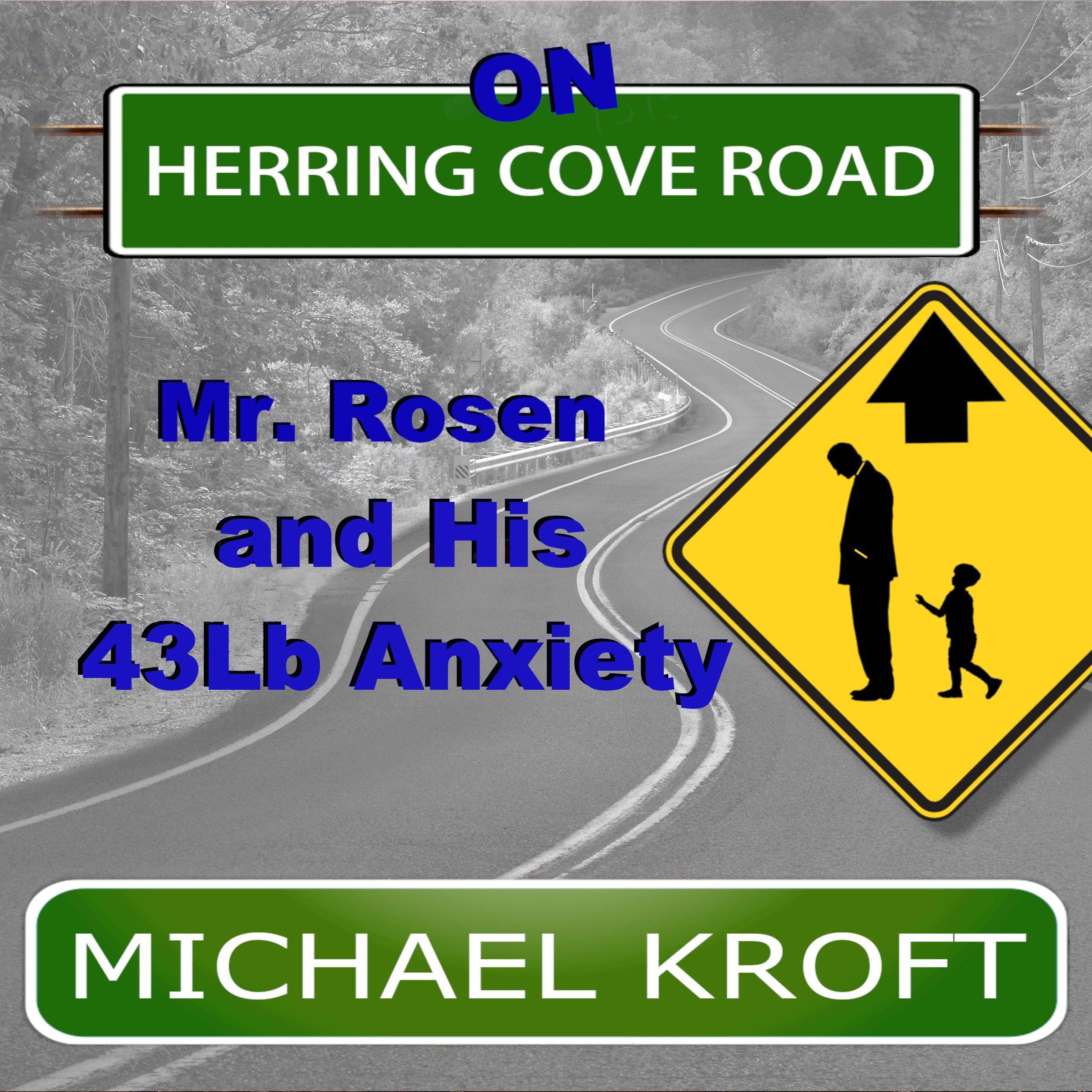 Cover art for On Herring Cove Road