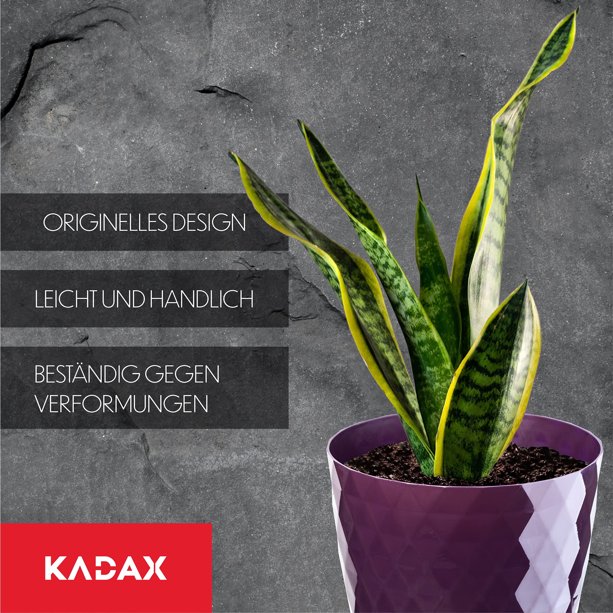 KADAX Maceta para Flores, Maceta con Base, Maceta de plástico para Interior, Macetero Redondo, Maceta Decorativa, Maceta Moderna Interior, 12 cm, Morado — view 7