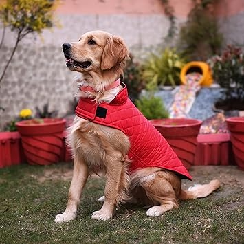 Goofy Tails Winter Jacket for Dogs and Puppies (18 Inch)