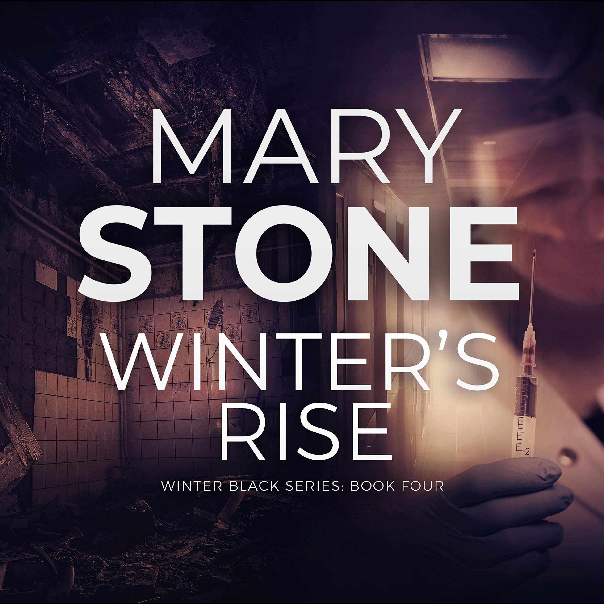 Cover art for Winter's Rise