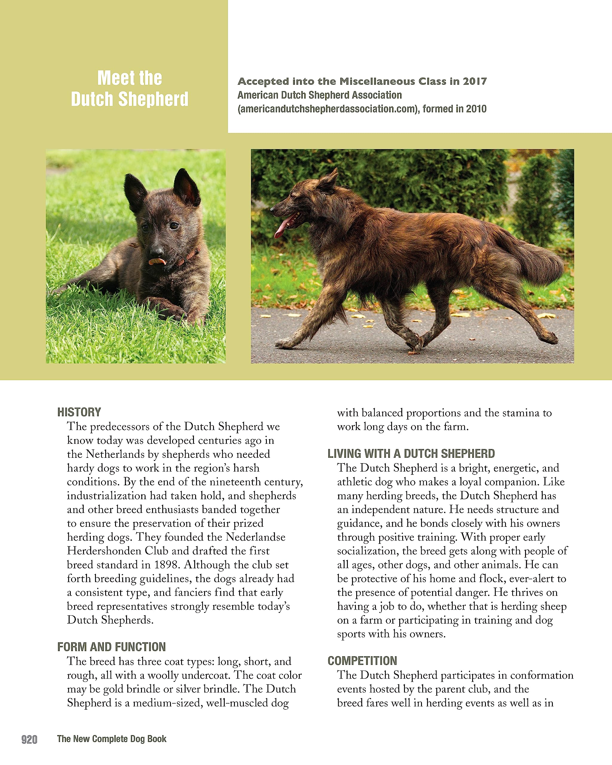 Amazon.co.jp: The American Kennel Club The American Kennel