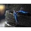 Product Photo 7