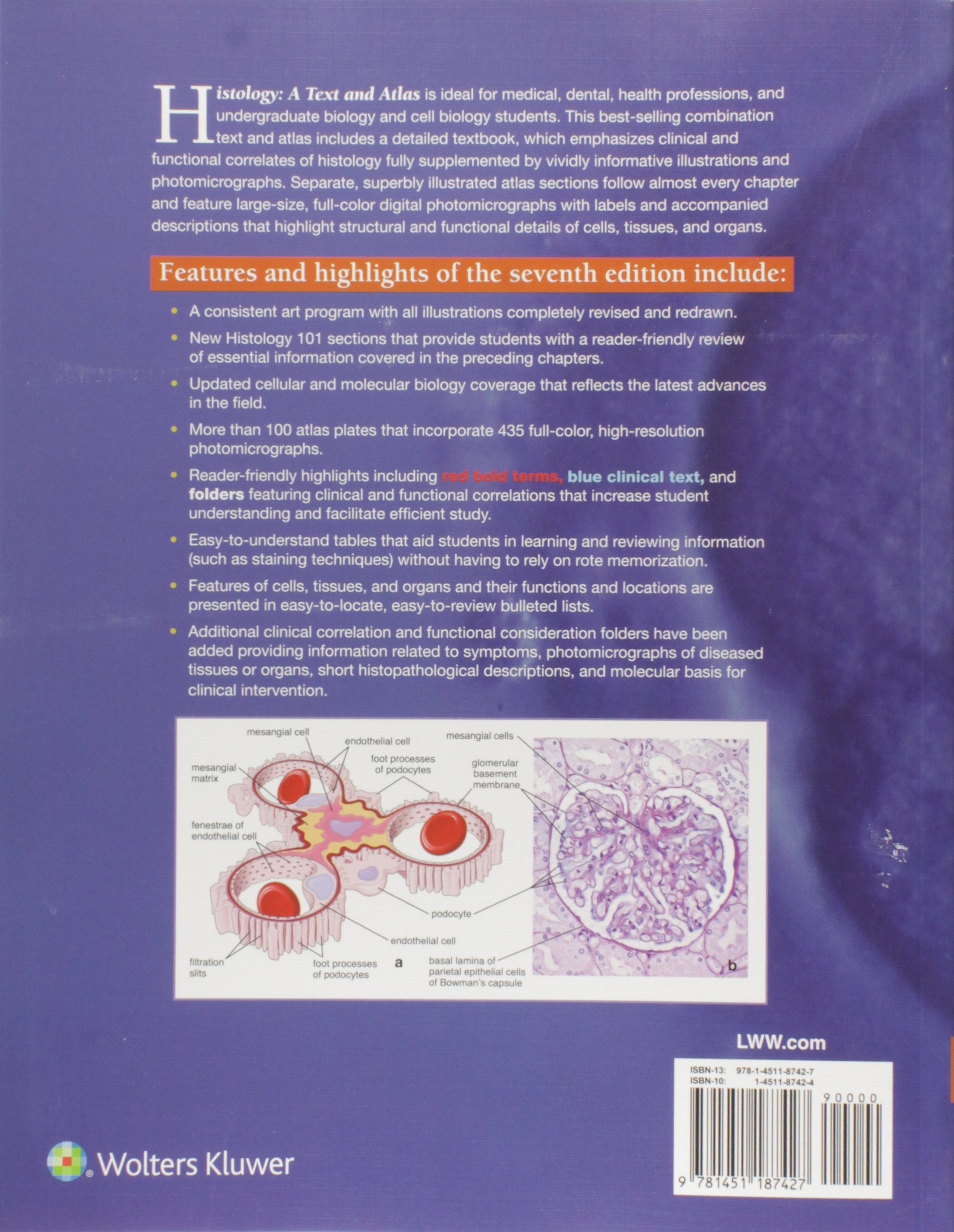 Histology: A Text and Atlas: With Correlated Cell and Molecular Biology