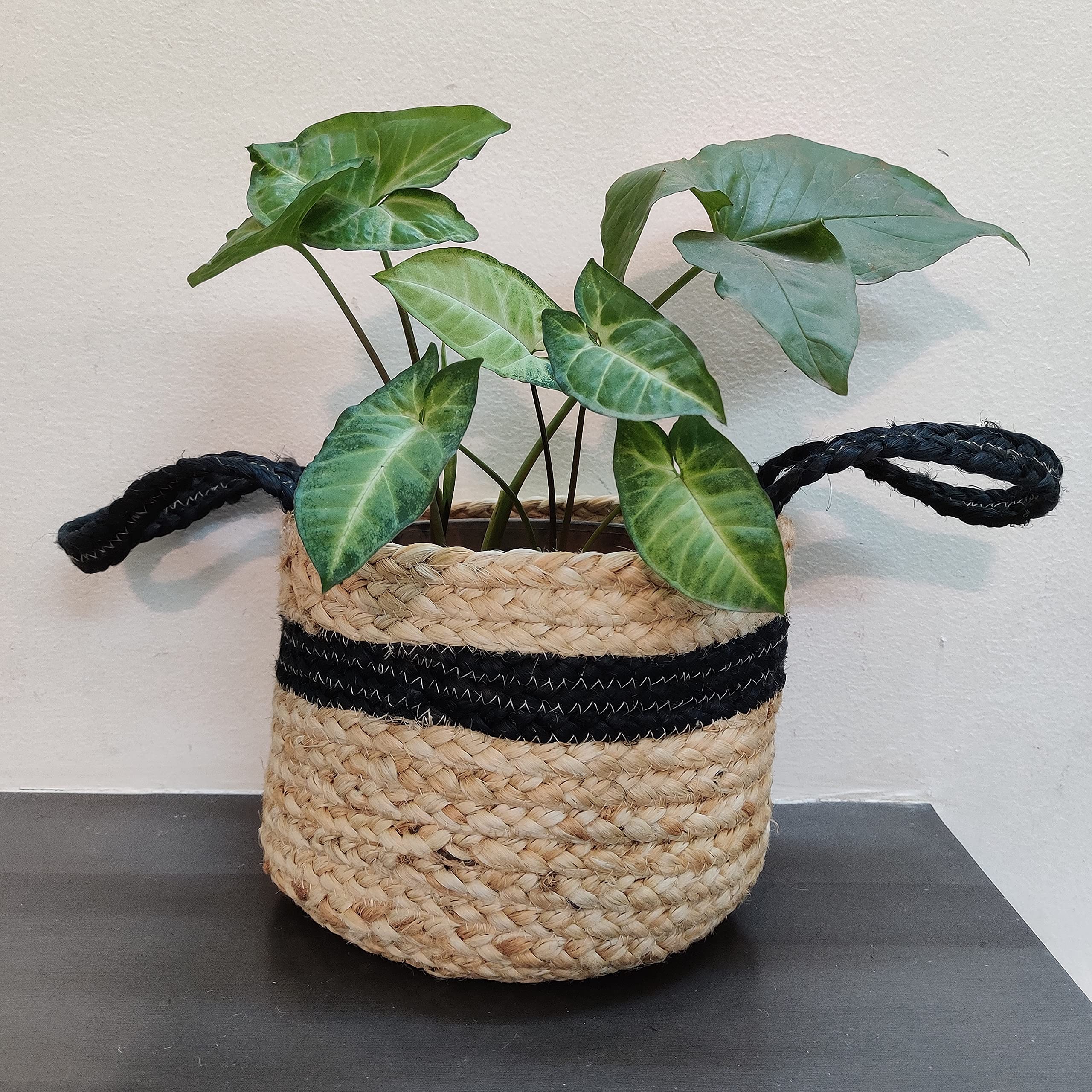 Blue White Planter Basket Hand Made Eco Friendly Indoor and Outdoor Storage Home Garden Bedroom Living Bathroom Decor Plant Pot Bags Blue and White (8 Inch)