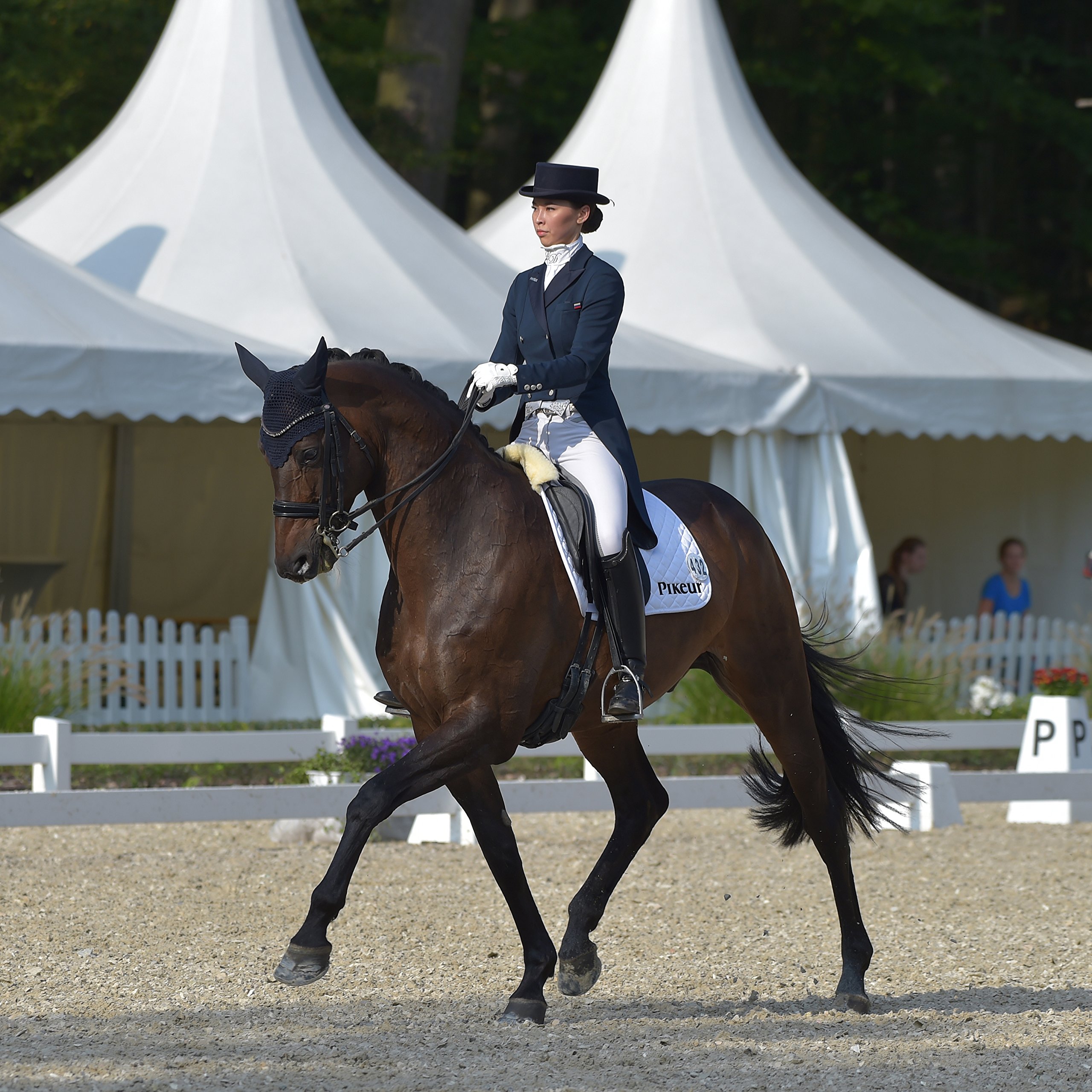 Stübben Equi-Soft® Sattelgurt inkl. Polster