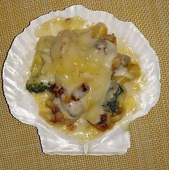 超特大タカラ貝11x7x6cm 特大ヤツシロ貝15x10x7cm 超特大タカラ貝11x7x6cm 超特大ヤツシロ貝15x10x7cm