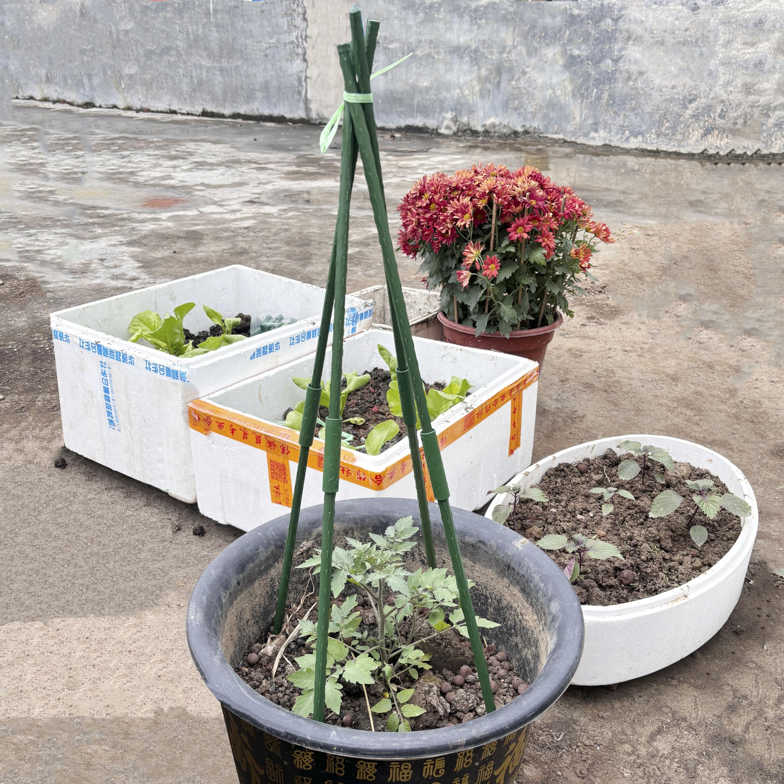 Bastoncini Per Piante In Legno | Confronta Prezzi - Foto 3