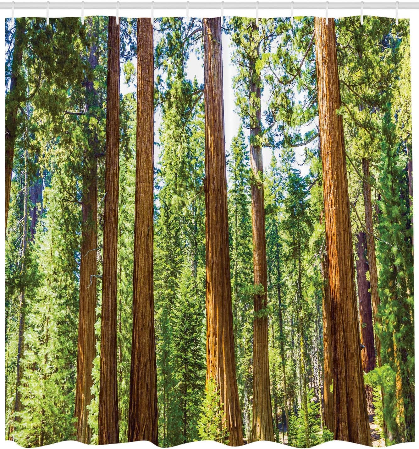 Ambesonne National Parks Shower Curtain, View of Tree Branches in Scenic Springtime Conifers Sequoia Art Prints, Cloth Fabric Bathroom Decor Set with Hooks, 69" W x 75" L, Green Brown