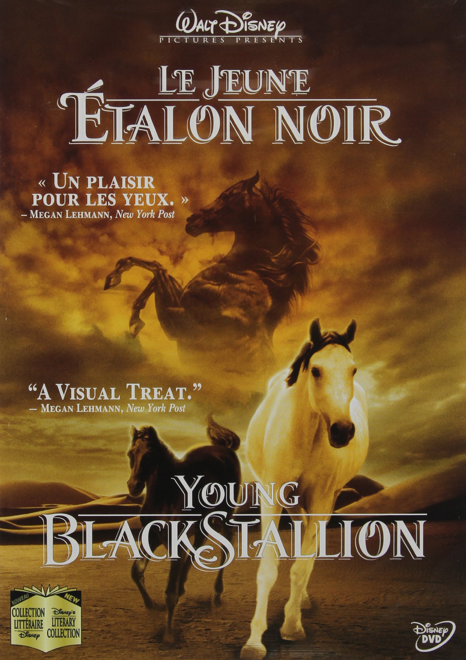 Young Black Stallion (Bilingual) [DVD]